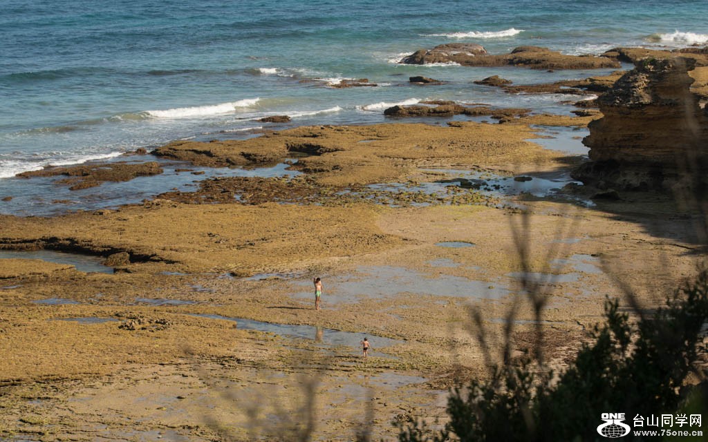 DSC_9318.jpg