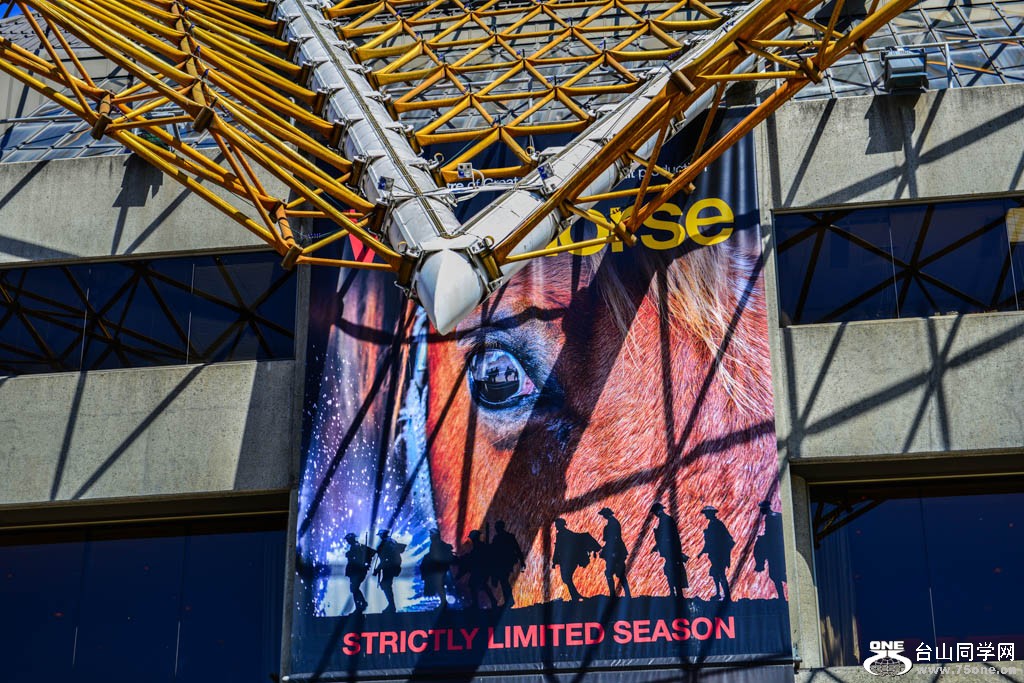DSC_6549.jpg