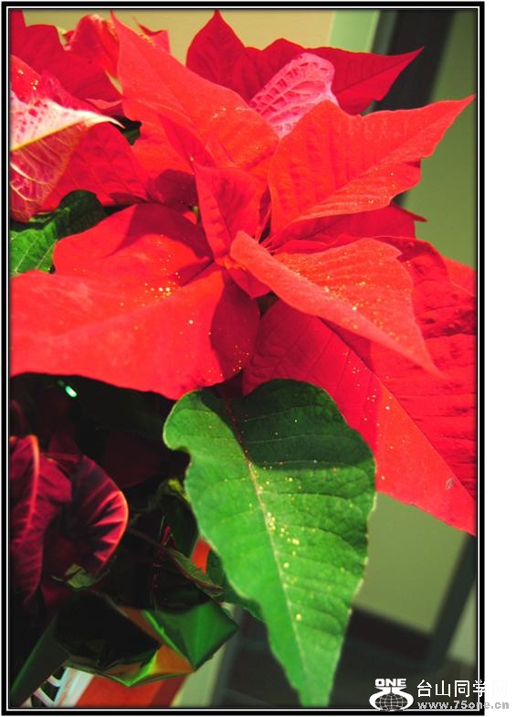 __________________50 23.jpg