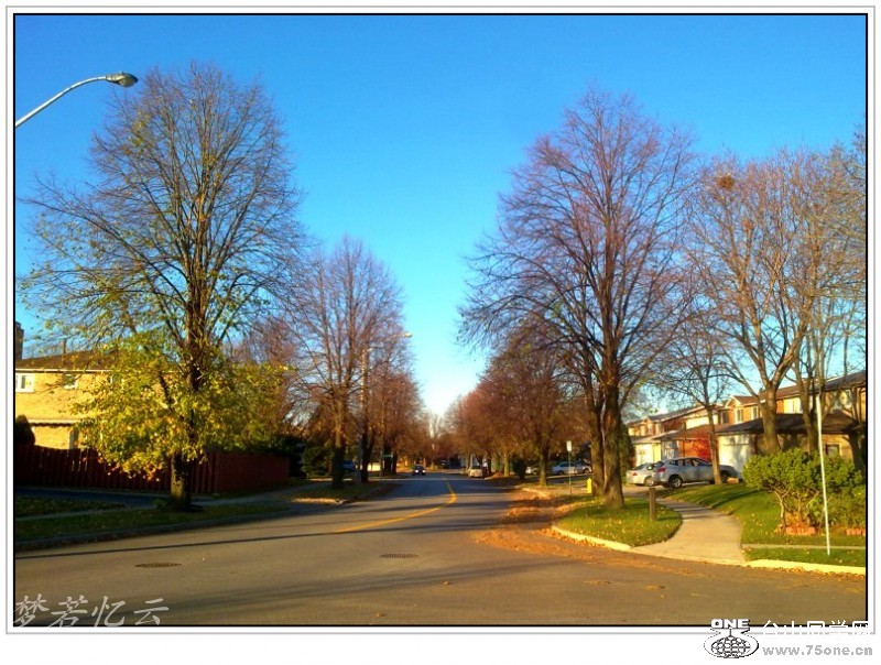 conew_201211081770_conew1.jpg