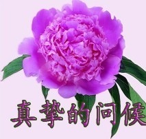 IMG_0194.JPG