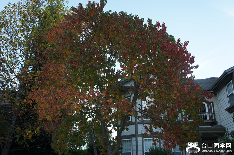 DSC05395_.jpg