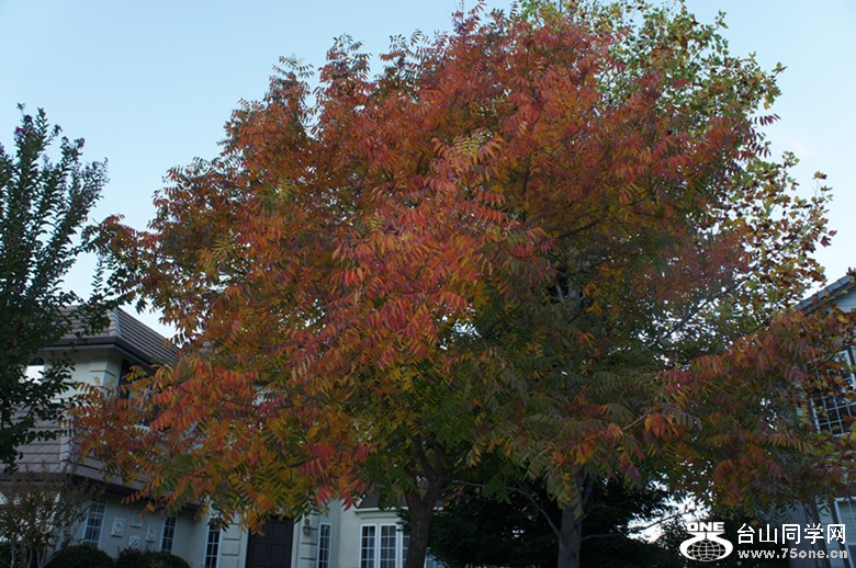 DSC05396_.jpg