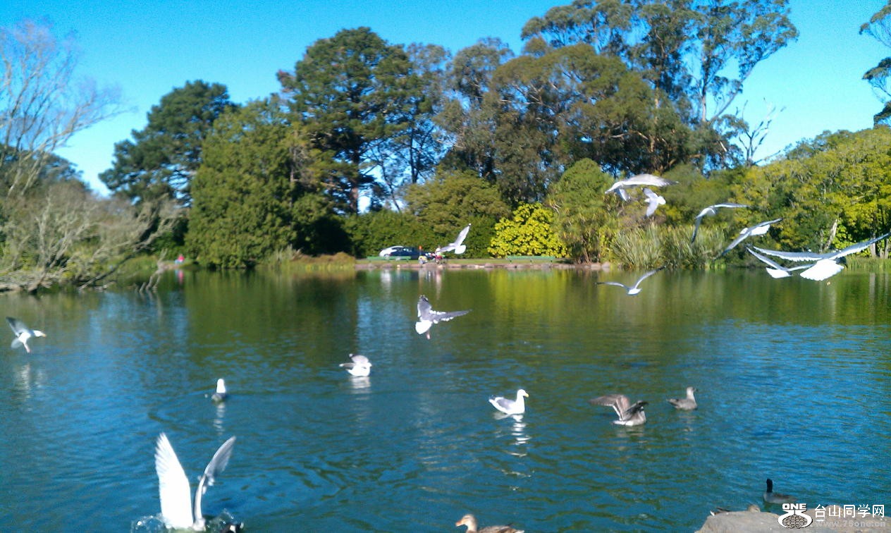Panorama 149.JPG