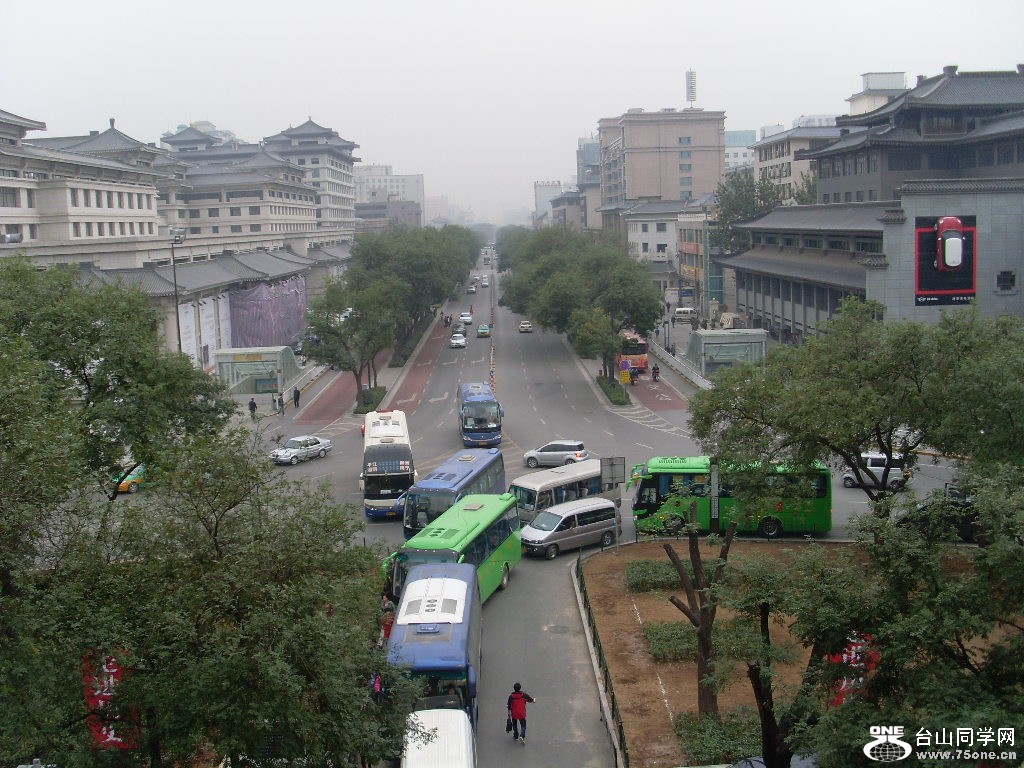SL374214.JPG