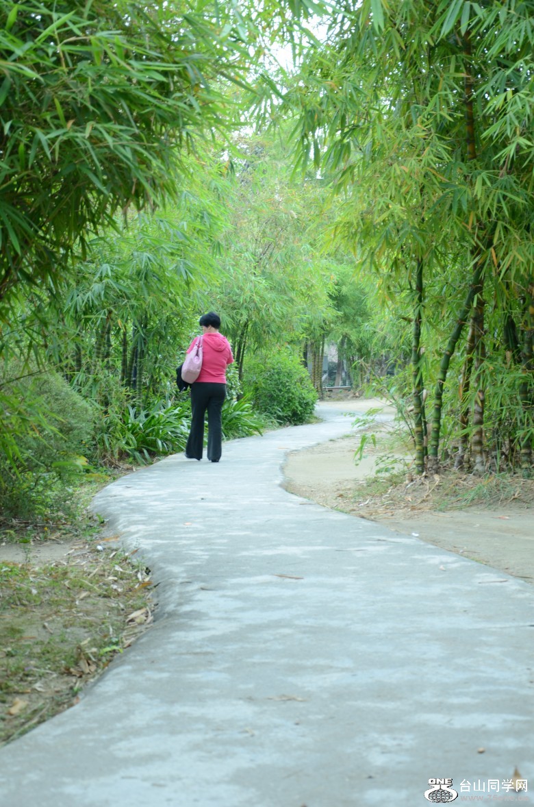 DSC_5676_conew1.jpg