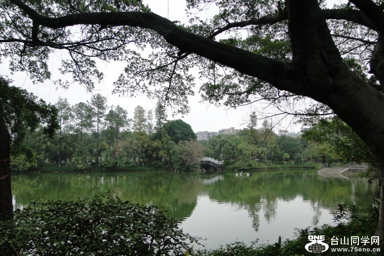 DSC07955_conew1.jpg
