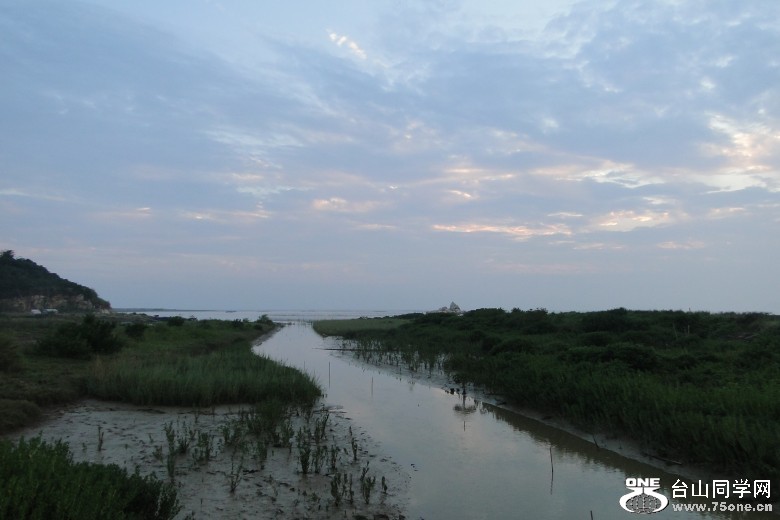 DSC07882_conew1.jpg