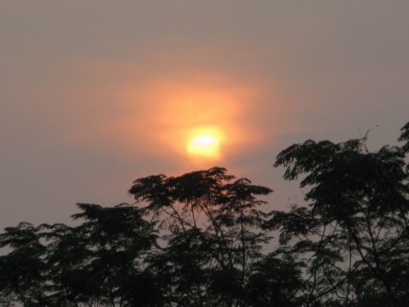 IMG_3621.JPG