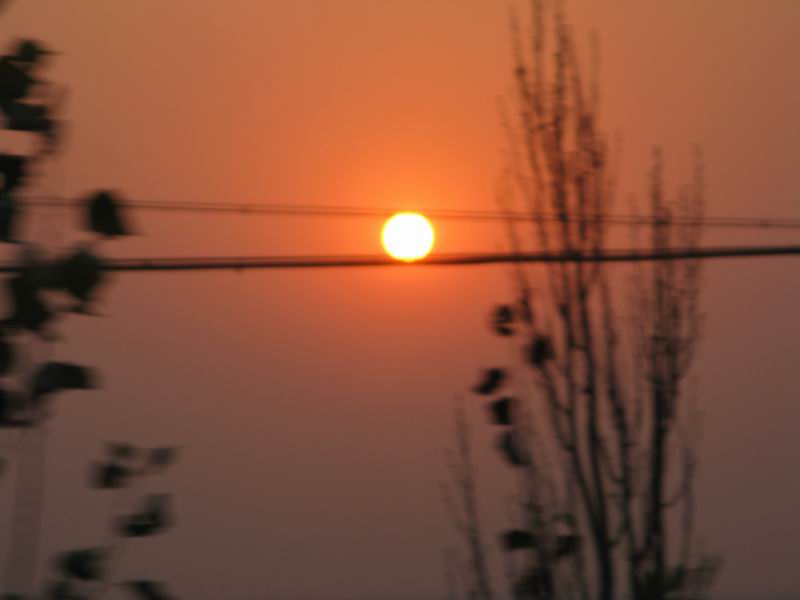 IMG_2614.JPG
