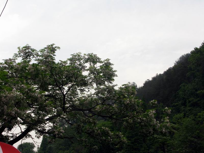 IMG_5090.JPG