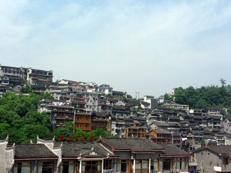 IMG_5037.JPG