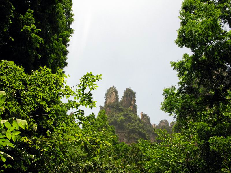 IMG_5247.JPG
