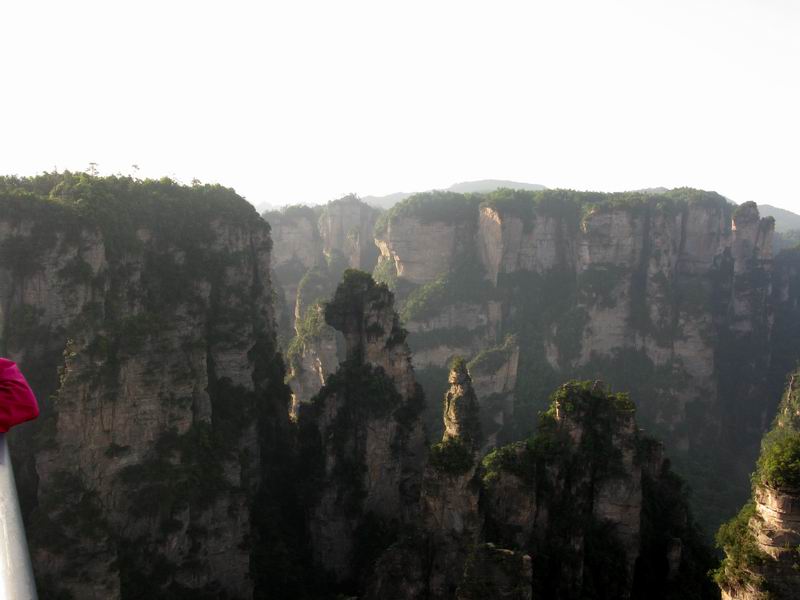IMG_5324.JPG