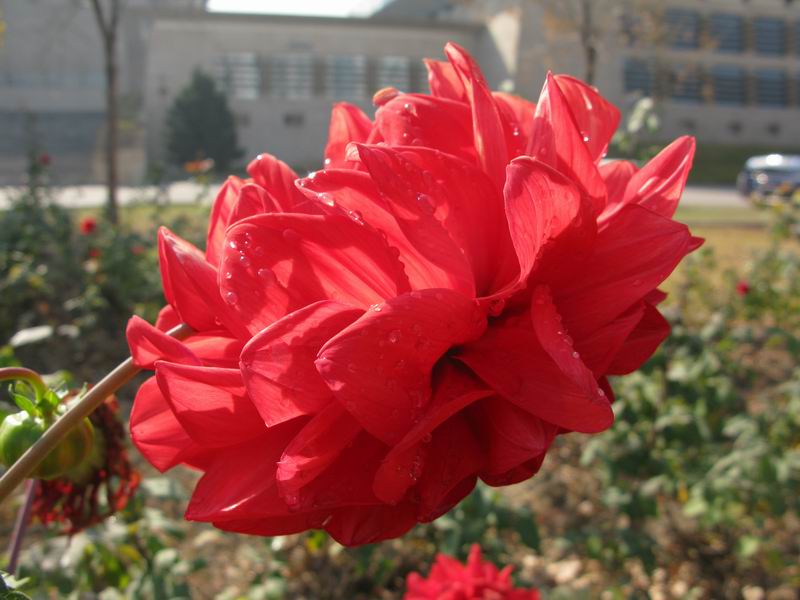 IMG_1882.JPG