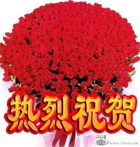 48_41164_deef1eec51fdec7.jpg