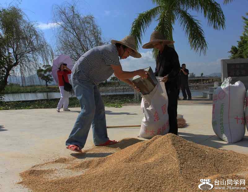 ��ɽ��ʯ�ո�2012.11. 232.jpg