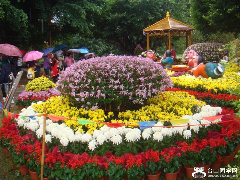 DSC04438 ().JPG