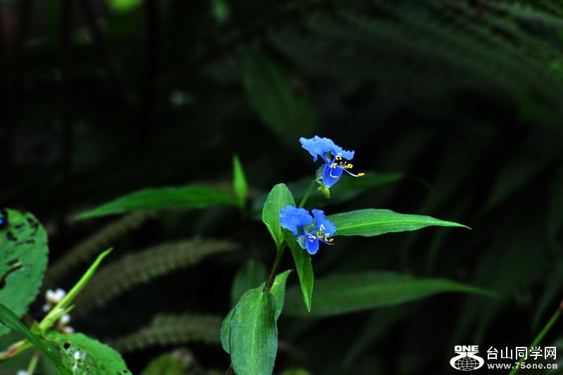 DSC_0948.jpg