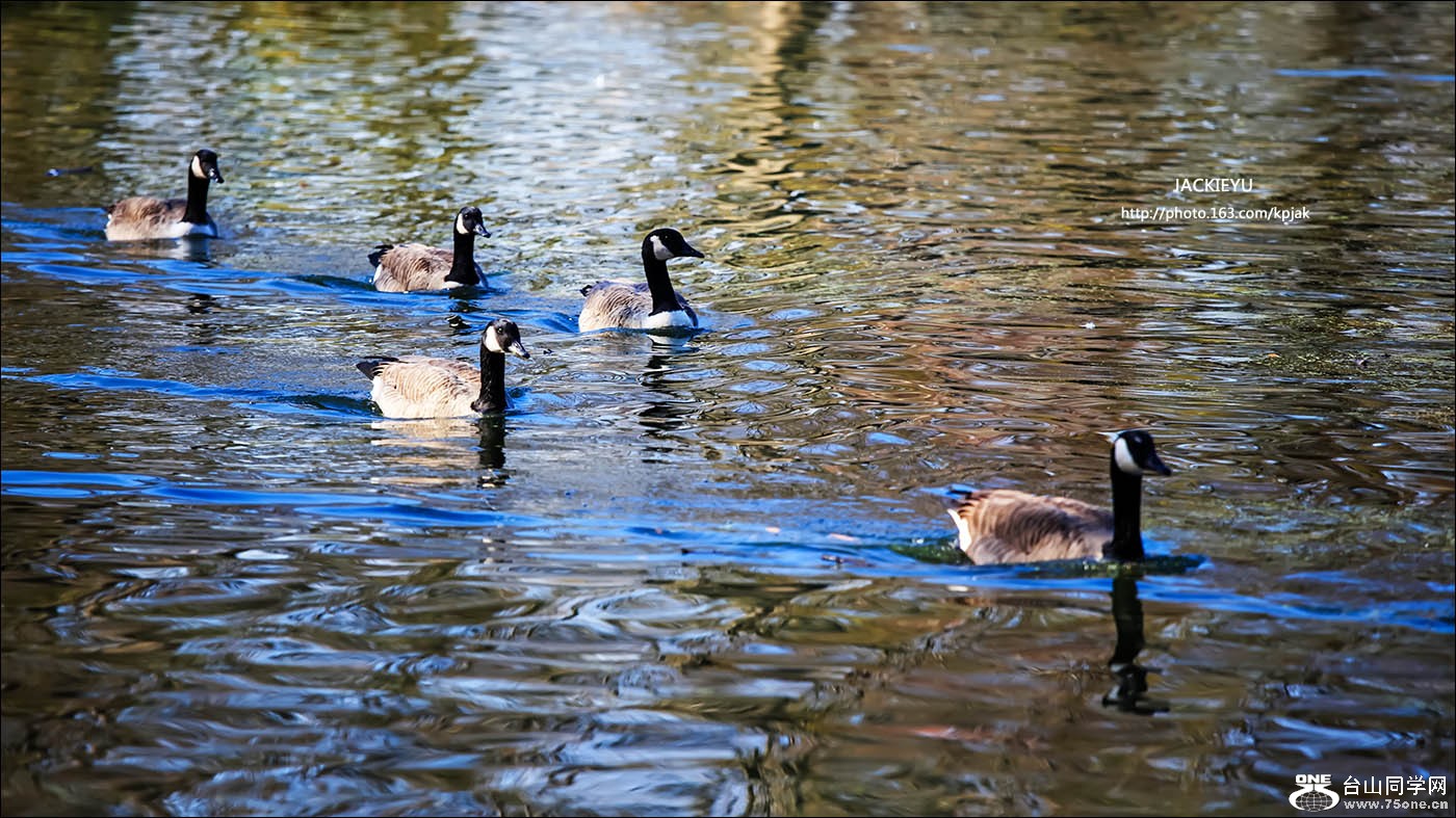 IMG_0405.jpg