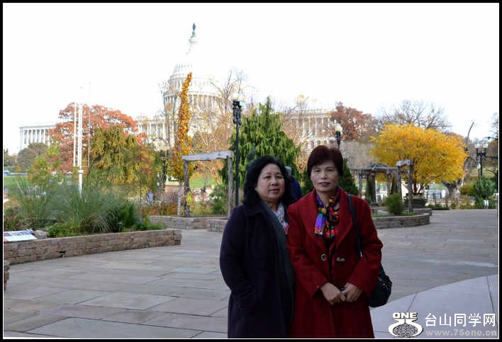 2012.11.18 Dc Flowers 001.jpg