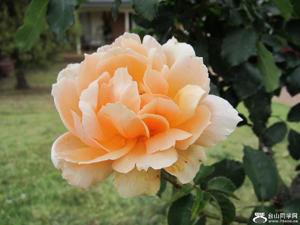 IMG_1719.JPG