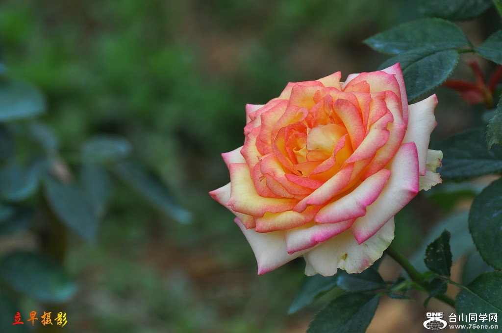DSC_3915.JPG