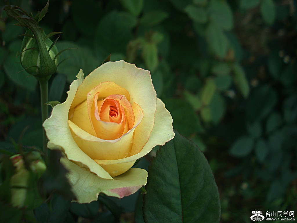 DSC00014.jpg