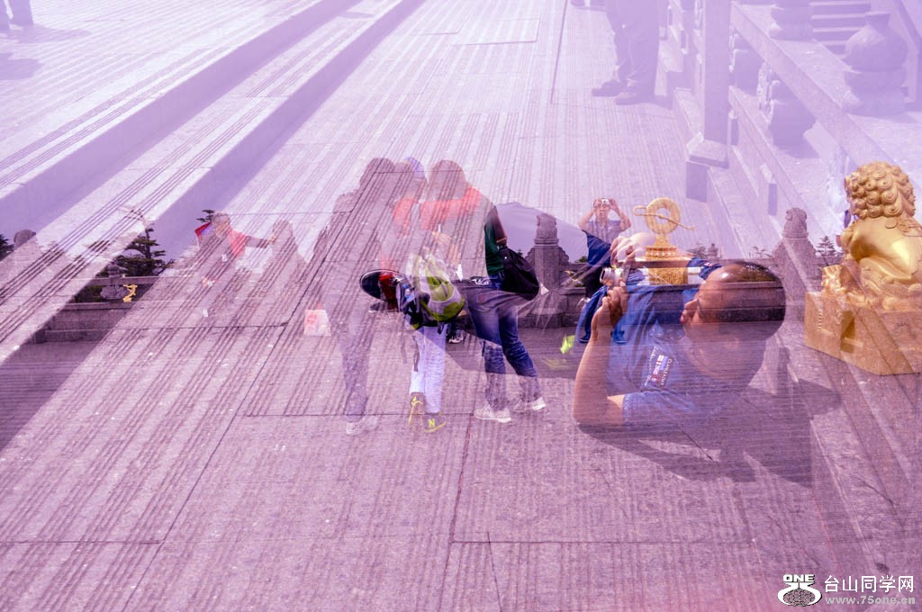 CSC_1641.jpg