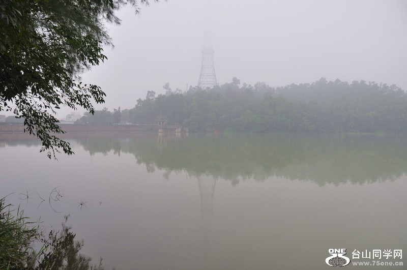 c7.jpg