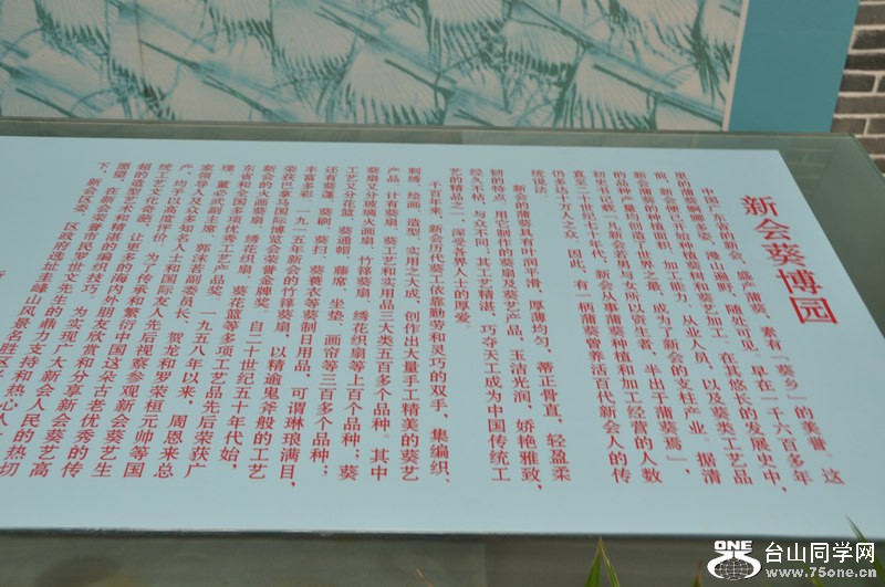 p8.jpg