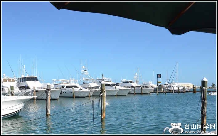 2012-11-4 Cruise 1377.jpg