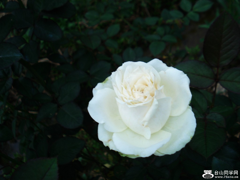 DSC00128.jpg