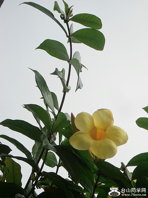 DSC00011.JPG