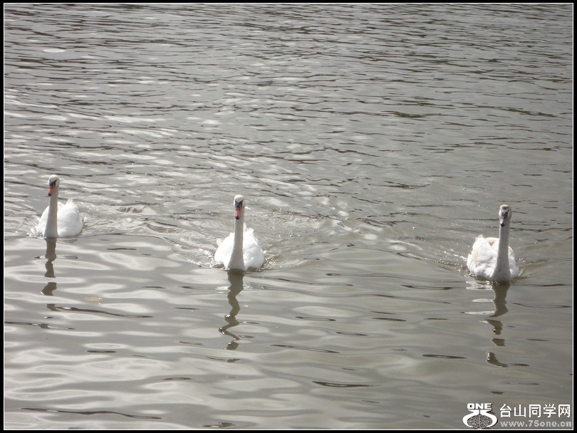 DSC05341.jpg