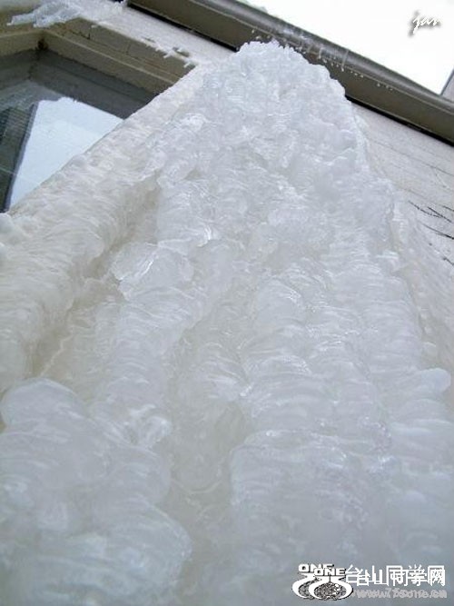 H2890008.jpg