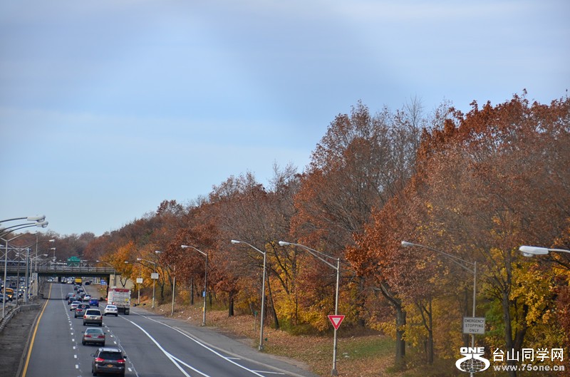 DSC_2387_.jpg