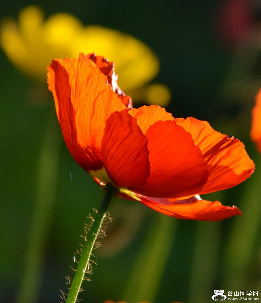 DSC_0284_36.jpg