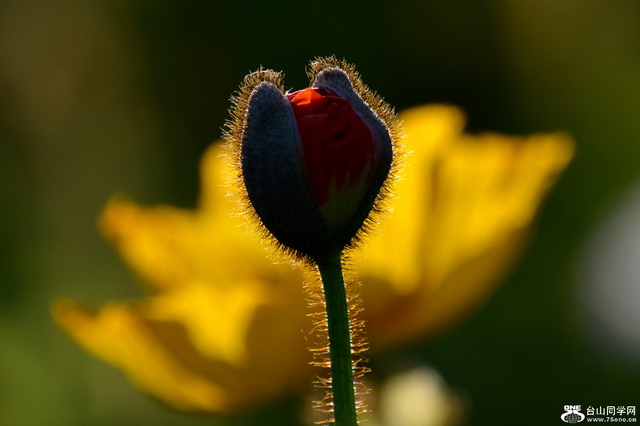 DSC_0300_41.jpg