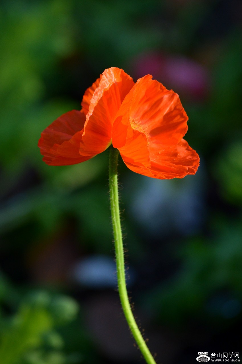 DSC_0251_29.jpg