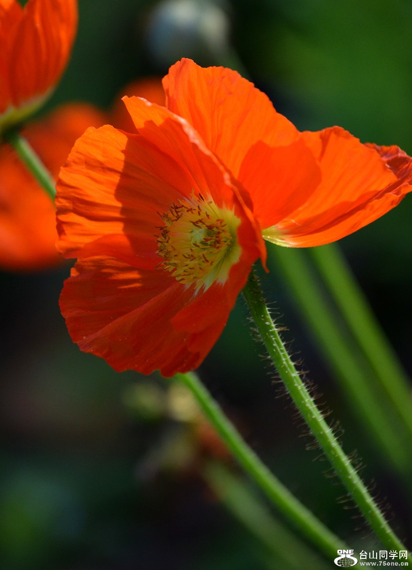 DSC_0239_27.jpg