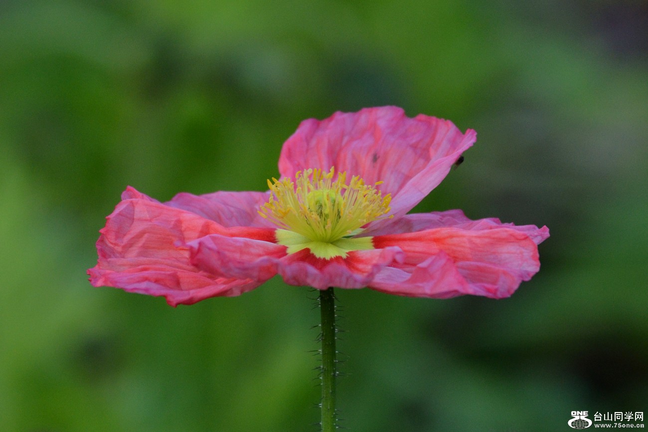 DSC_0338_51.jpg