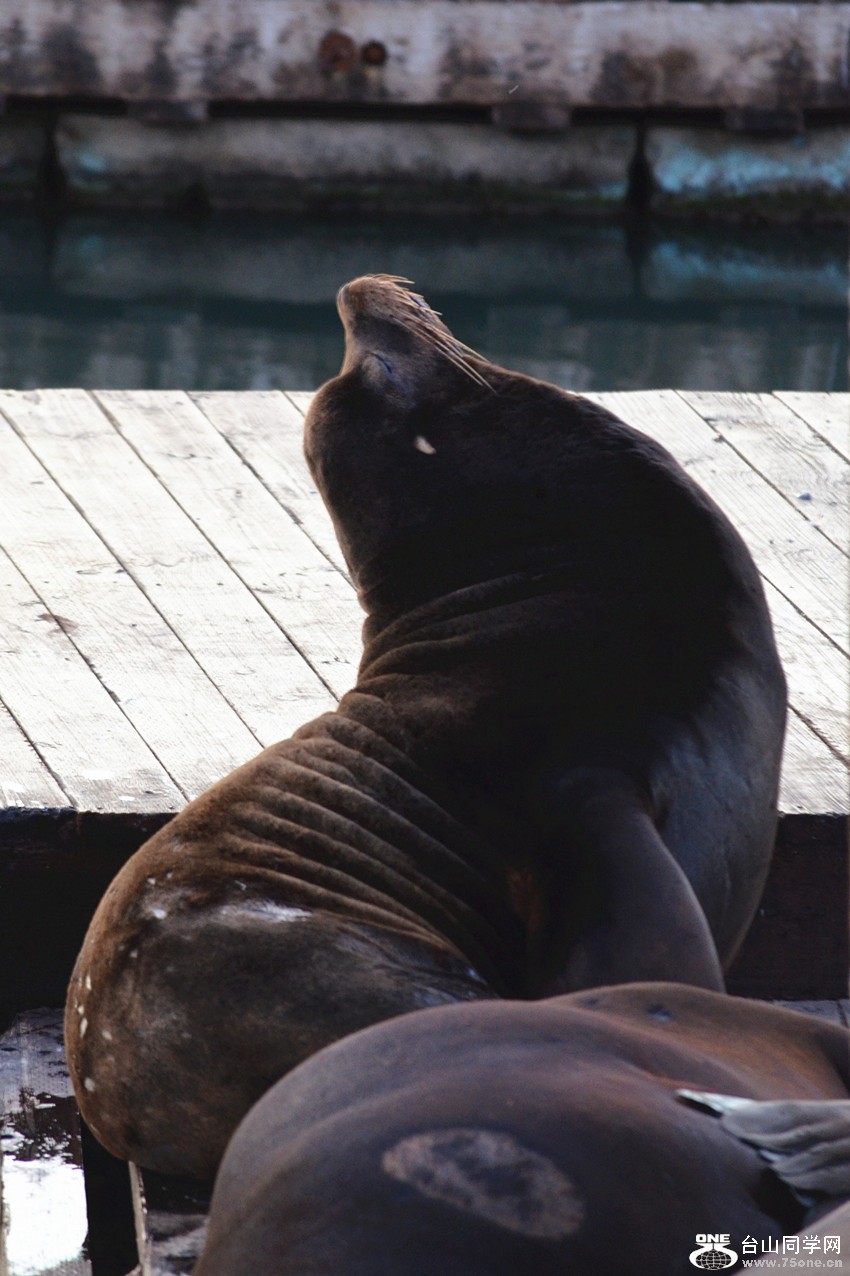 DSC_0424_05.jpg