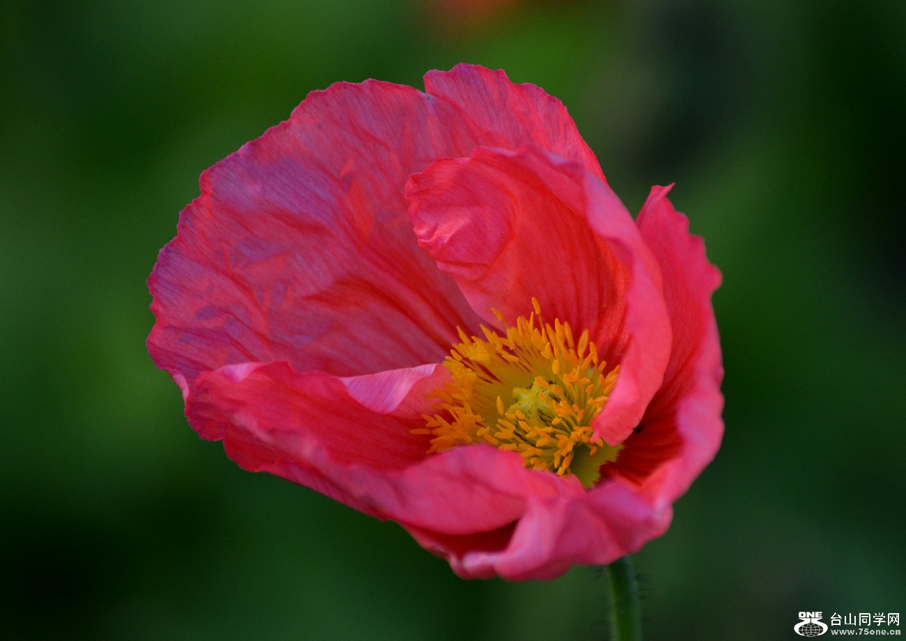 DSC_0160_13.jpg