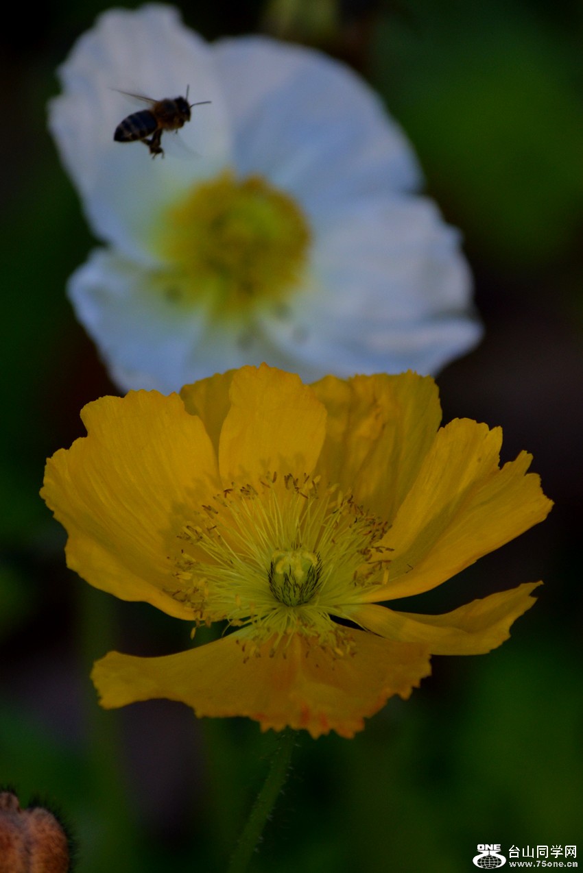 DSC_0220_23.jpg