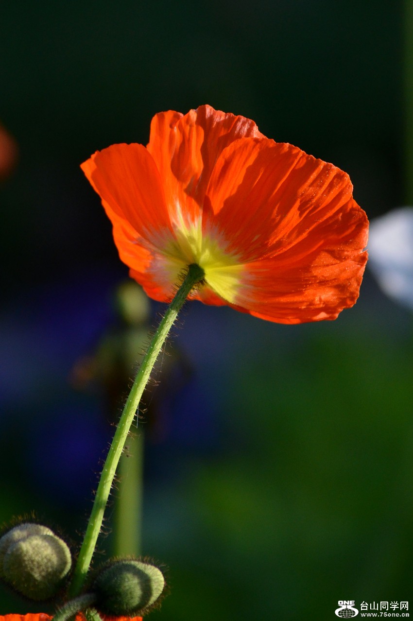 DSC_0260_32.jpg