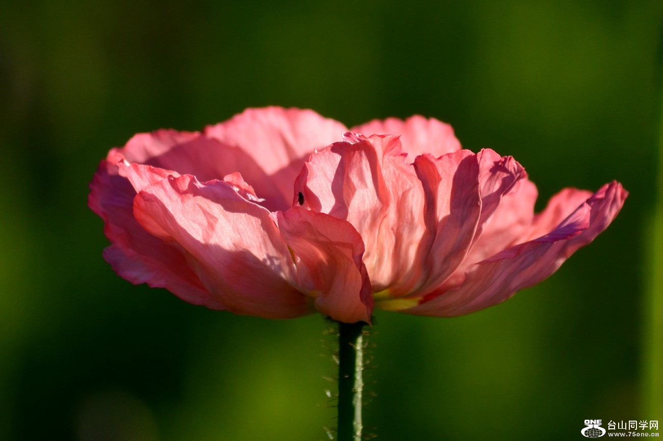 DSC_0288_37.jpg