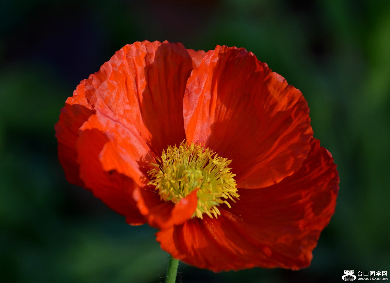 DSC_0090_4.jpg