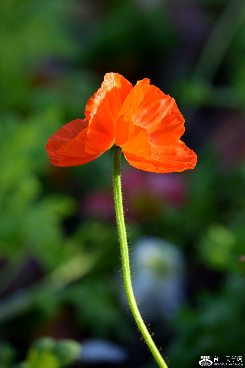 DSC_0254_05.jpg