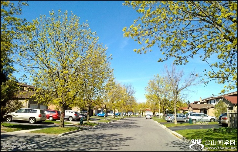 conew_Ƭ 042_conew1.jpg
